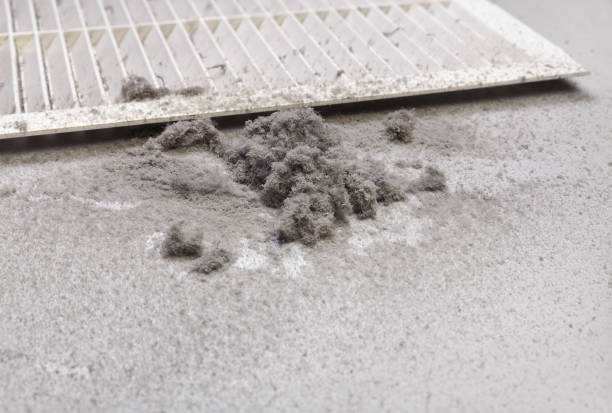 Best Local Air Duct Cleaning Services  in Kearny, NJ